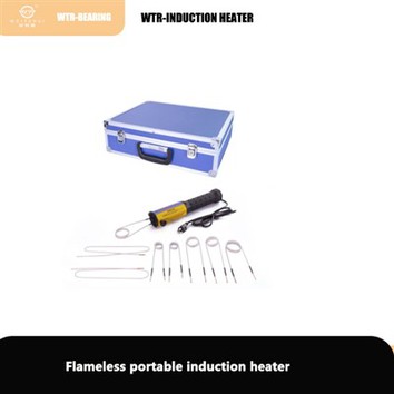 Flameless Portable Induction Heater